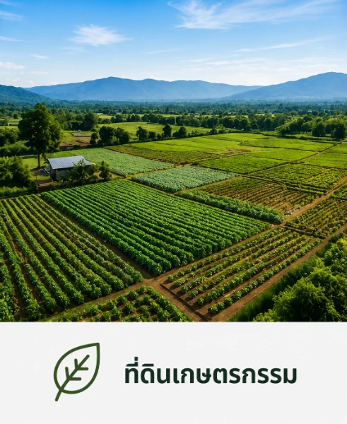 ที่ดินการเกษตร