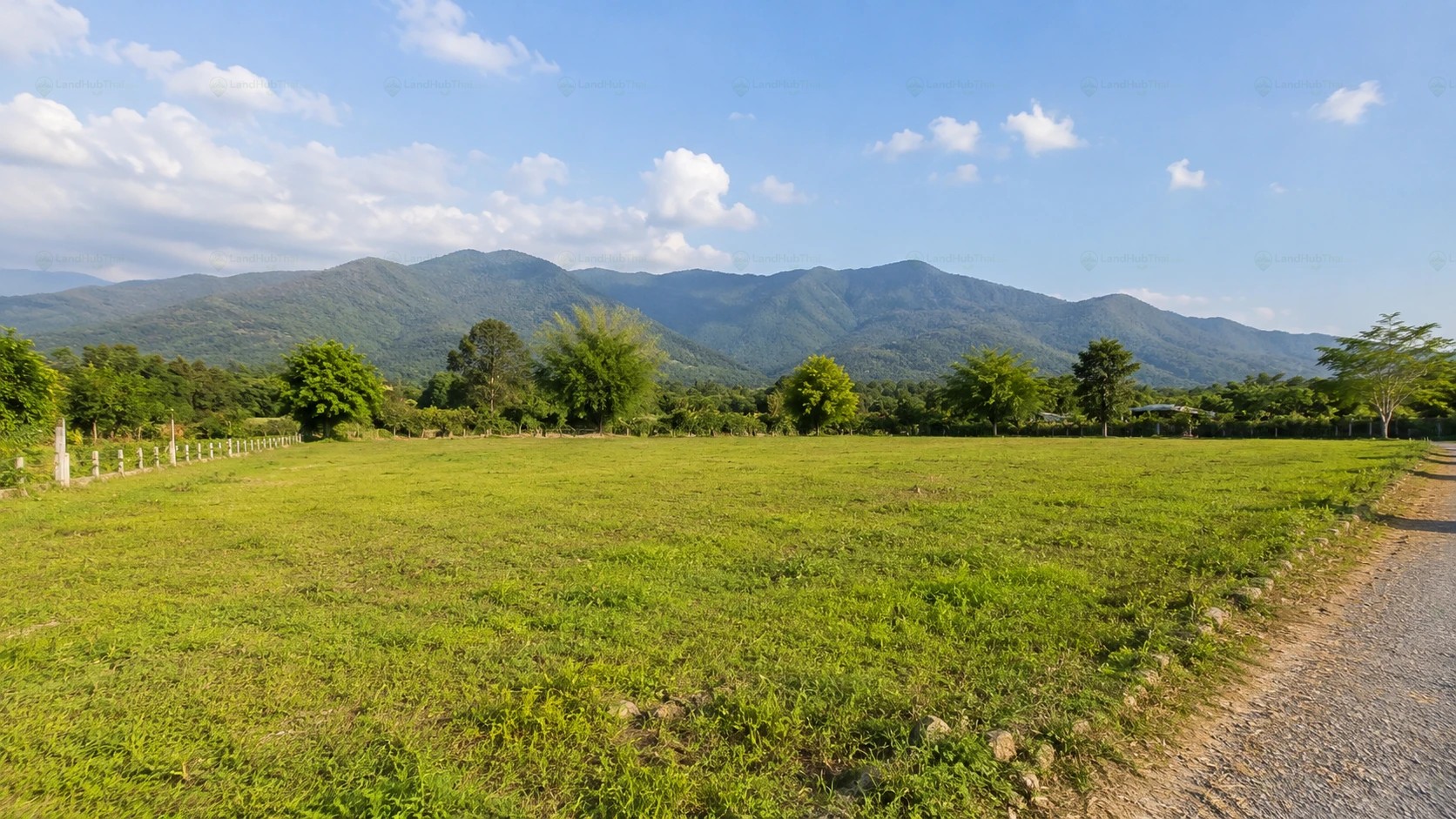 ขายที่ดินวิวภูเขา ทำเลศักยภาพ อำเภอแม่ริม จังหวัดเชียงใหม่